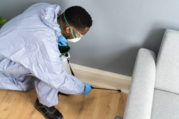 Best Pest Control for Multi-Family Homes  in Manorhaven, NY